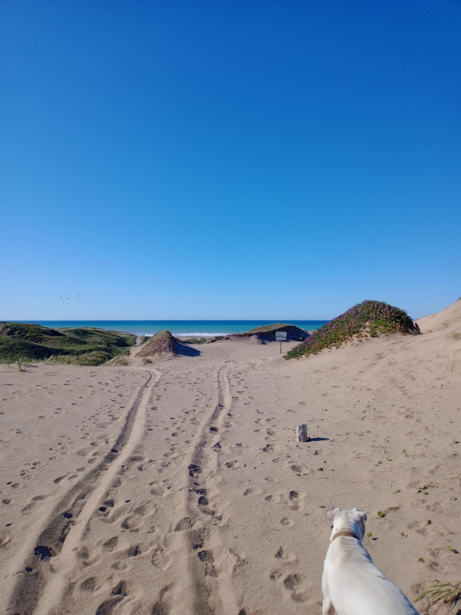 Foresta Acantilados, Casa Container Y Cabana De Troncos Mar del Plata Kültér fotó