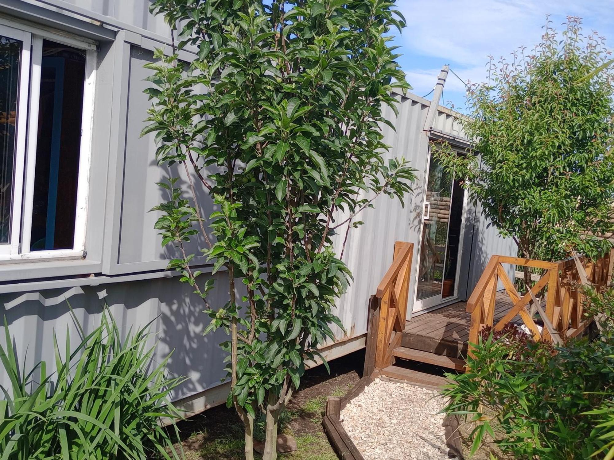 Foresta Acantilados, Casa Container Y Cabana De Troncos Mar del Plata Kültér fotó